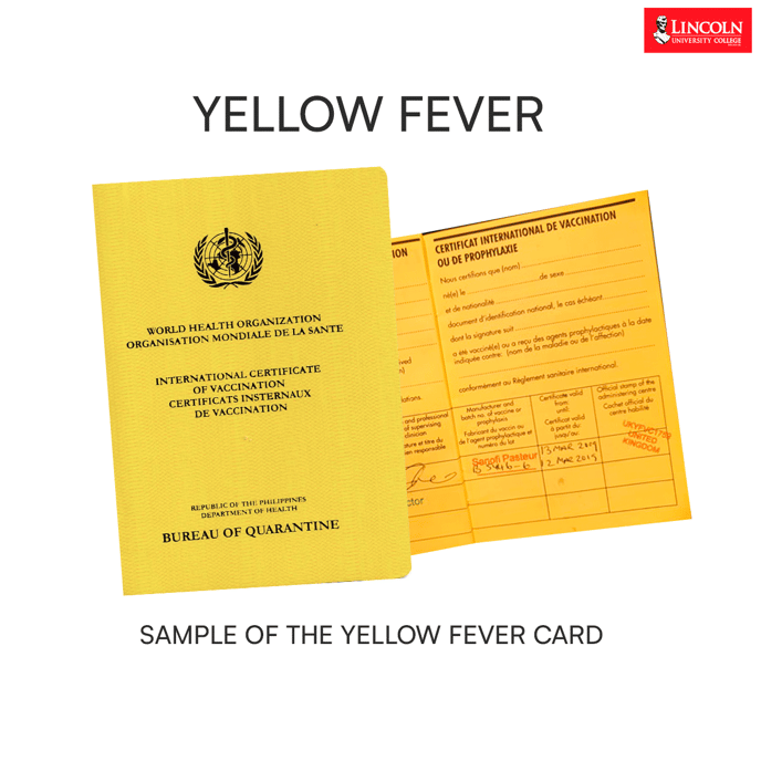 yelow-fever